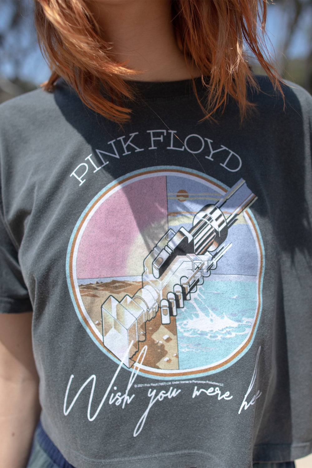 Pink Floyd Wish You Were Here Cropped Tee by People of Leisure